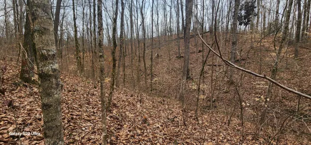 $287,000 | 19 North N Highway, Crandall, GA 30711