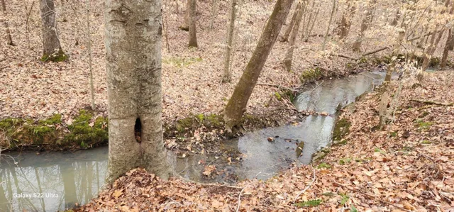 $287,000 | 19 North N Highway, Crandall, GA 30711