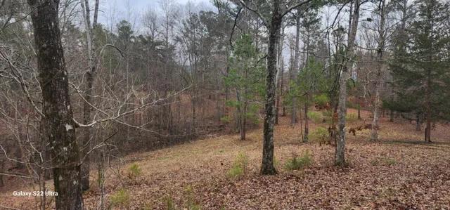 $287,000 | 19 North N Highway, Crandall, GA 30711