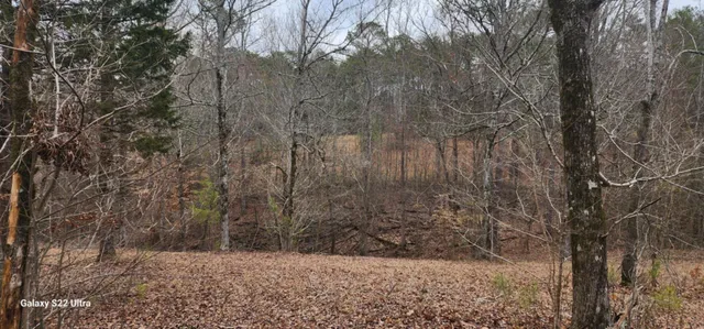 $287,000 | 19 North N Highway, Crandall, GA 30711