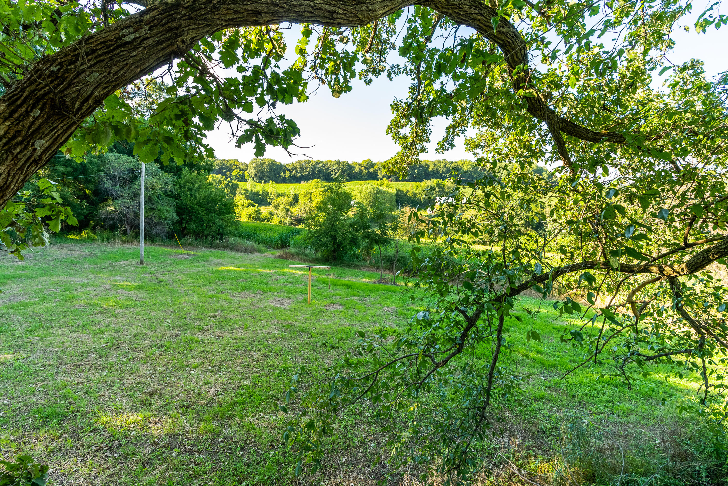 5292 Stenner Hill Road Marion, WI 53805 - Photo 20 of 69 Grant-County-WI-155-Acres-Land-For-Sale-