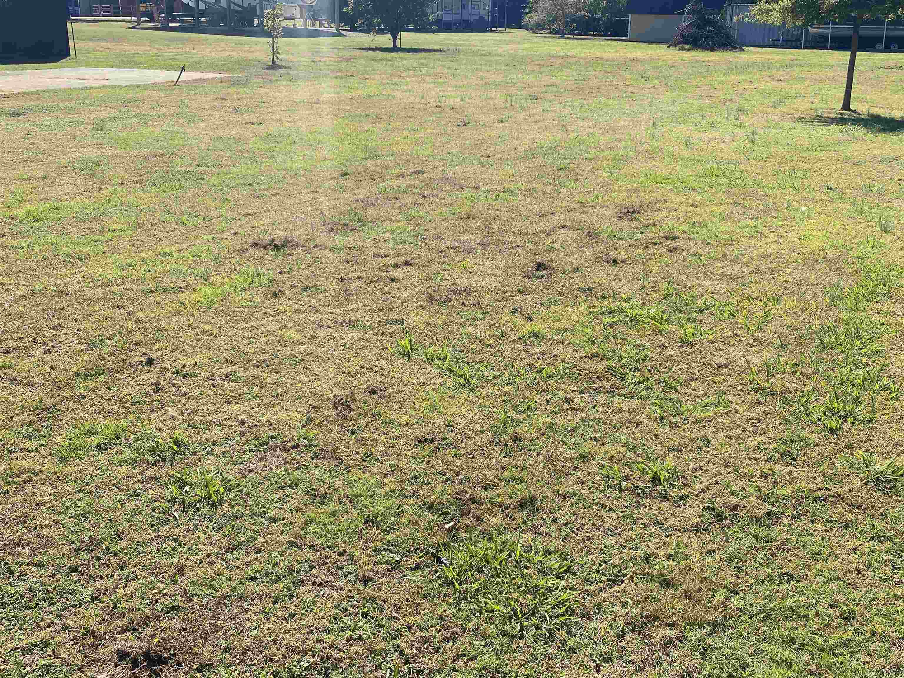 2 Catfish Lane Crump, TN 38327 - Photo 9 of 12