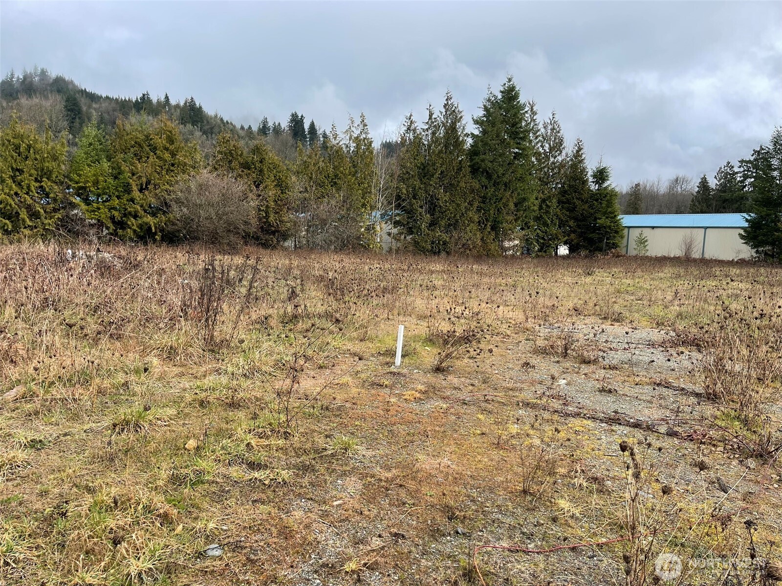 45075 Cedar Street Concrete, WA 98237 - Photo 2 of 18