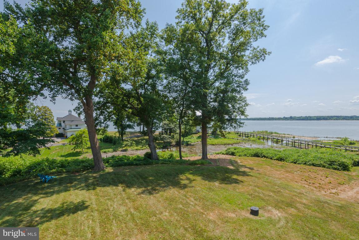 1411 Sharps Point Road Annapolis, MD 21409 - Photo 6 of 6 a view of a yard with a tree