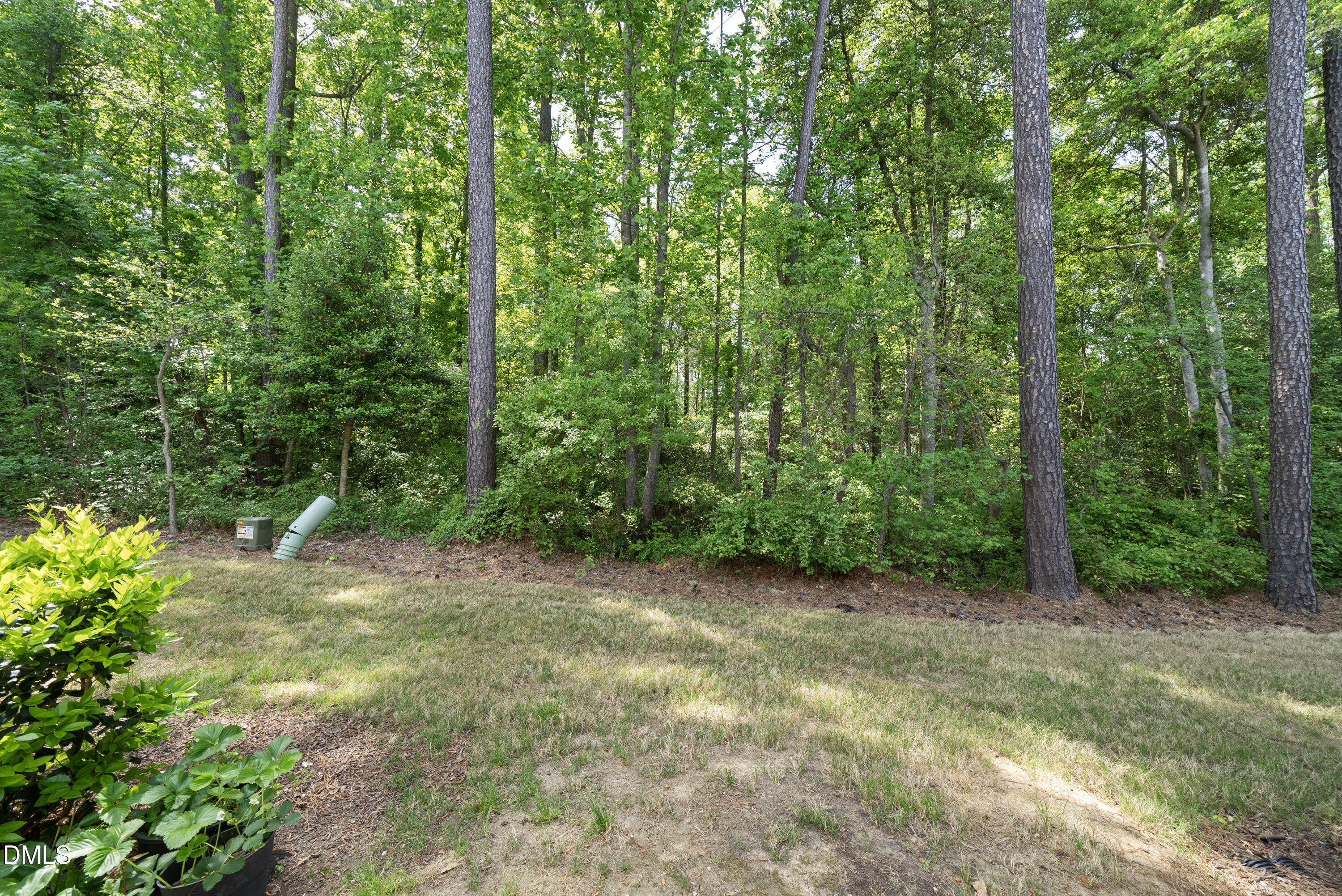 804 Star Rdg Drive Raleigh, NC 27610 - Photo 52 of 61 DSC09167