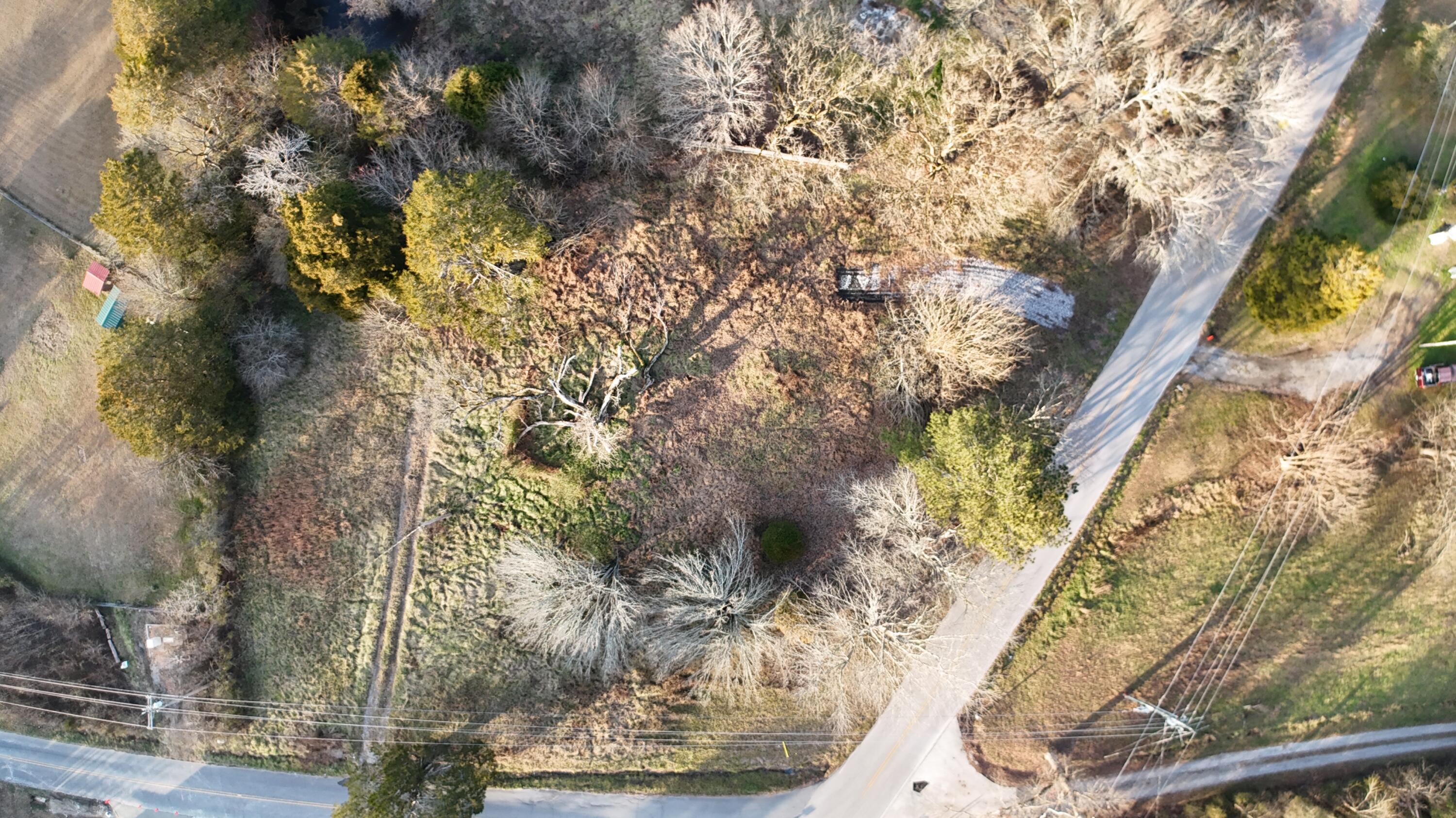 1585 East Reed Road LaFayette, GA 30728 - Photo 5 of 14 DJI_20250108164753_0359_D