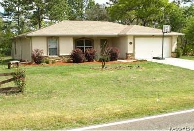 1883 West Hampshire Boulevard Dunnellon, FL 34434 - Photo 1 of 1