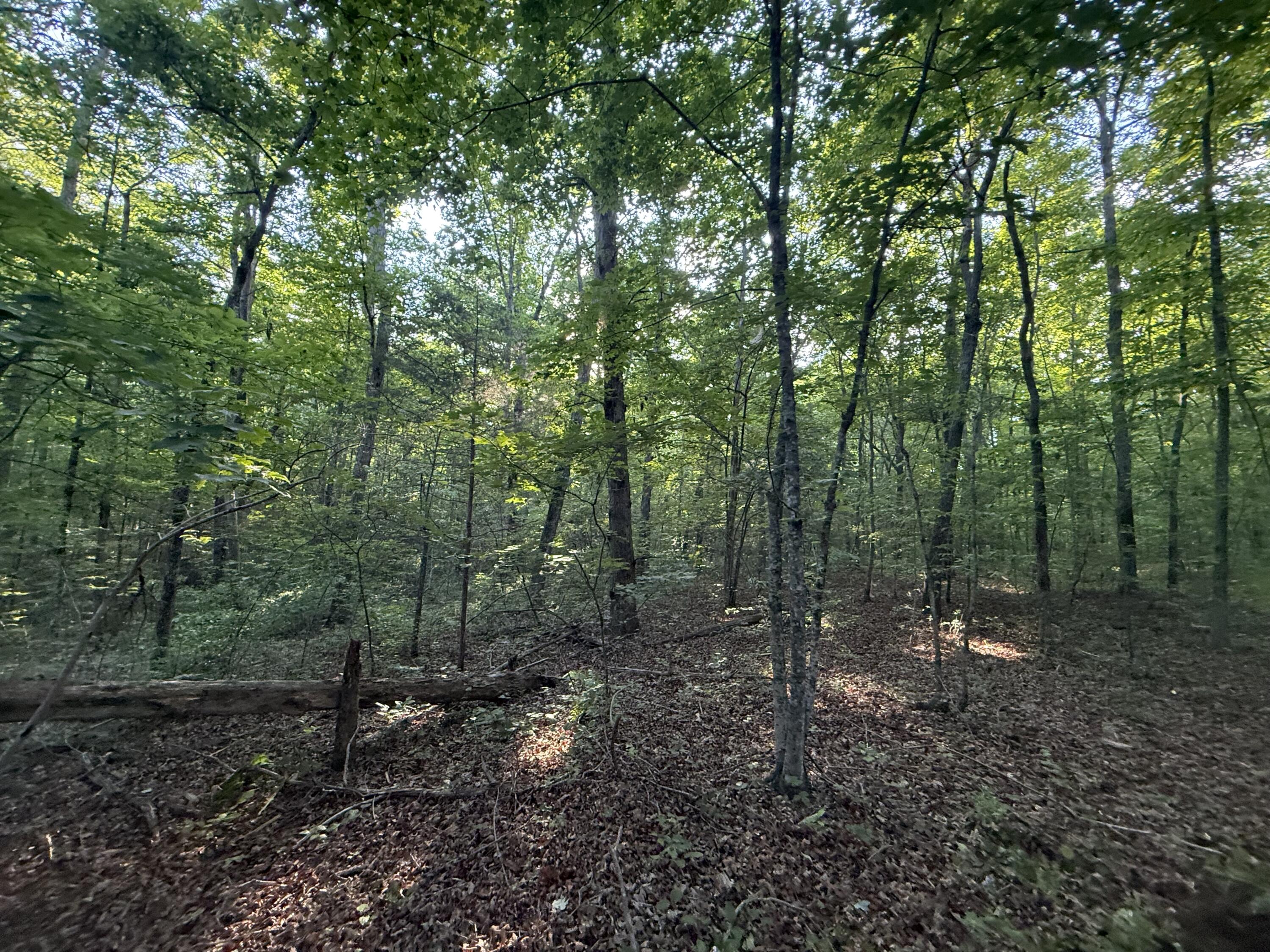 1672 Besstown Road Beersheba Springs, TN 37305 - Photo 10 of 11 IMG_6480