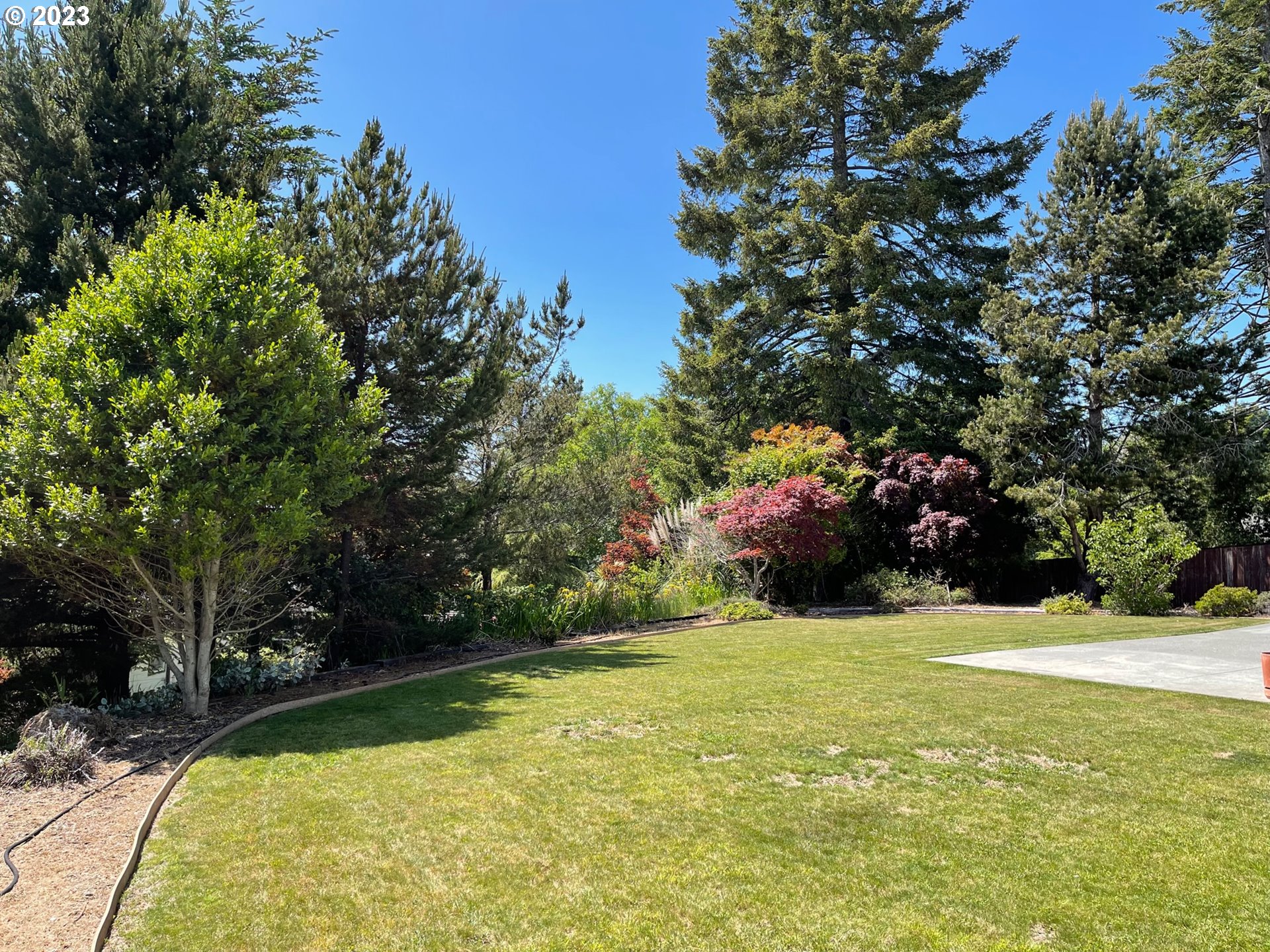 919 3rd Street Brookings, OR 97415 - Photo 6 of 36 a view of yard with swimming pool and trees