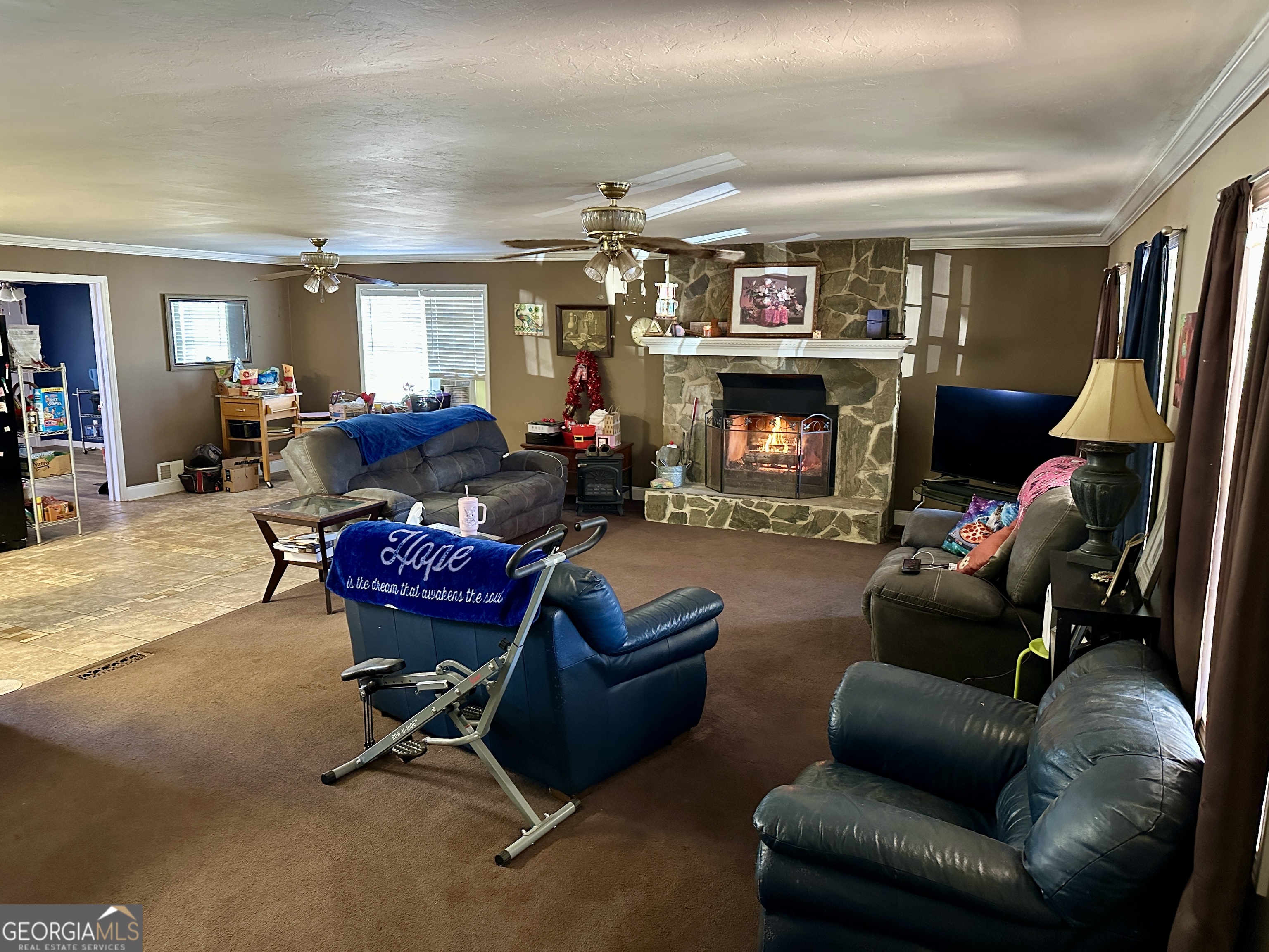 171 Hoyt Road Milner, GA 30257 - Photo 20 of 26 a living room with furniture and a fireplace