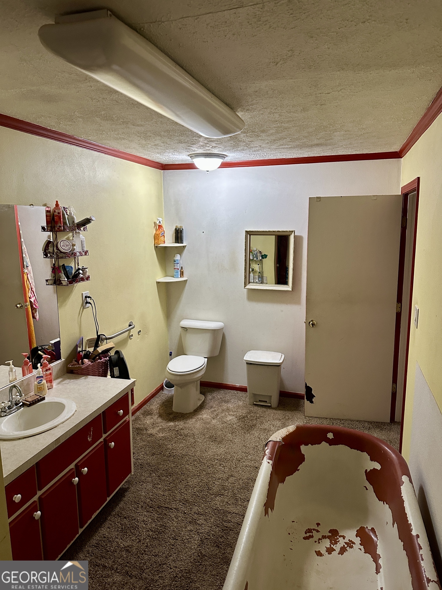 171 Hoyt Road Milner, GA 30257 - Photo 25 of 26 a spacious bathroom with a double vanity sink and a mirror