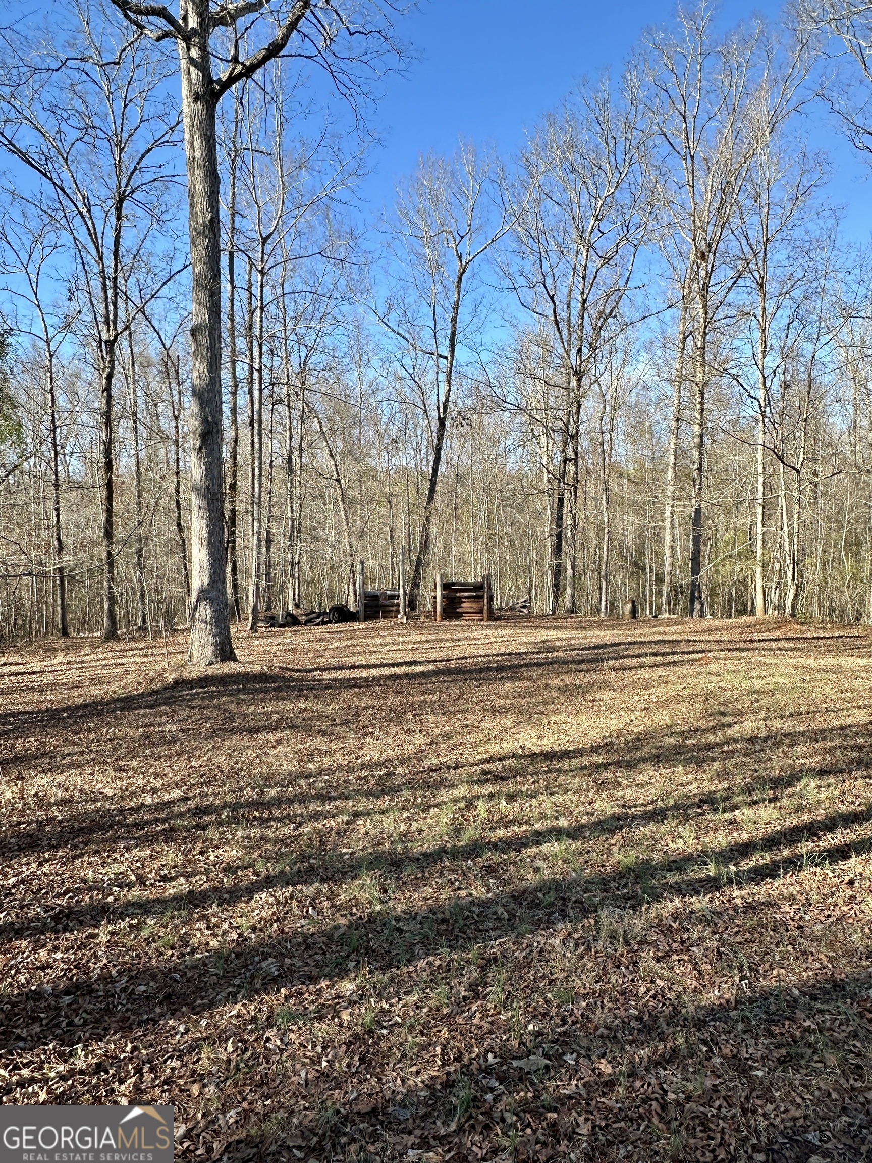 171 Hoyt Road Milner, GA 30257 - Photo 7 of 27