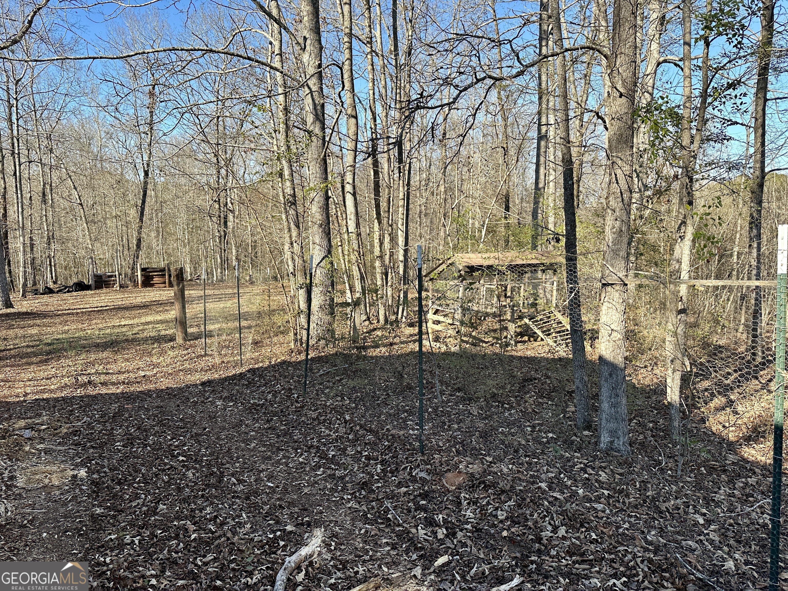 171 Hoyt Road Milner, GA 30257 - Photo 8 of 27