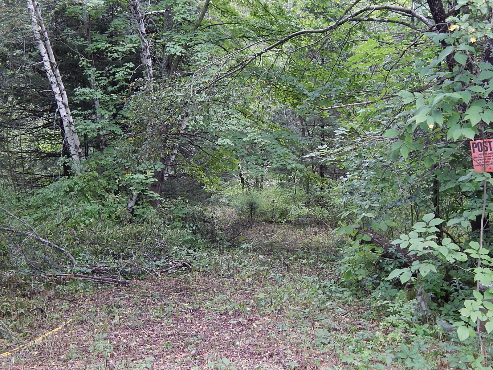0 Sumner Road Leeds, ME 04263 - Photo 1 of 7 DSCN8788