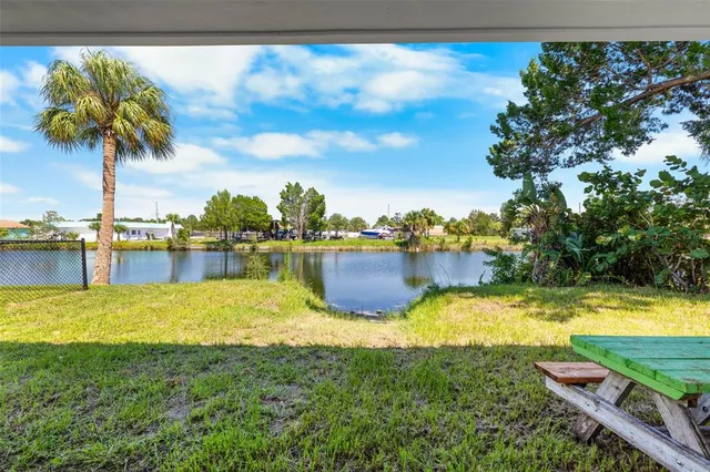 a view of a swimming pool with a yard and a large tree