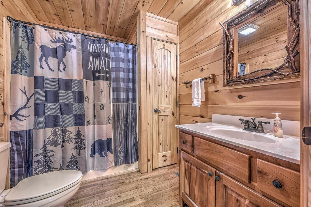 398 Pin Oak Road Murphy, NC 28906 - Photo 25 of 30 a bathroom with a sink a toilet and shower