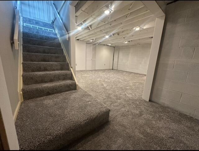 5179 Rittenhouse Square North, Unit 2379 Columbus, OH 43220 - Photo 26 of 32 Fresh Paint and New Plush Carpeting in Finished Lower Level.