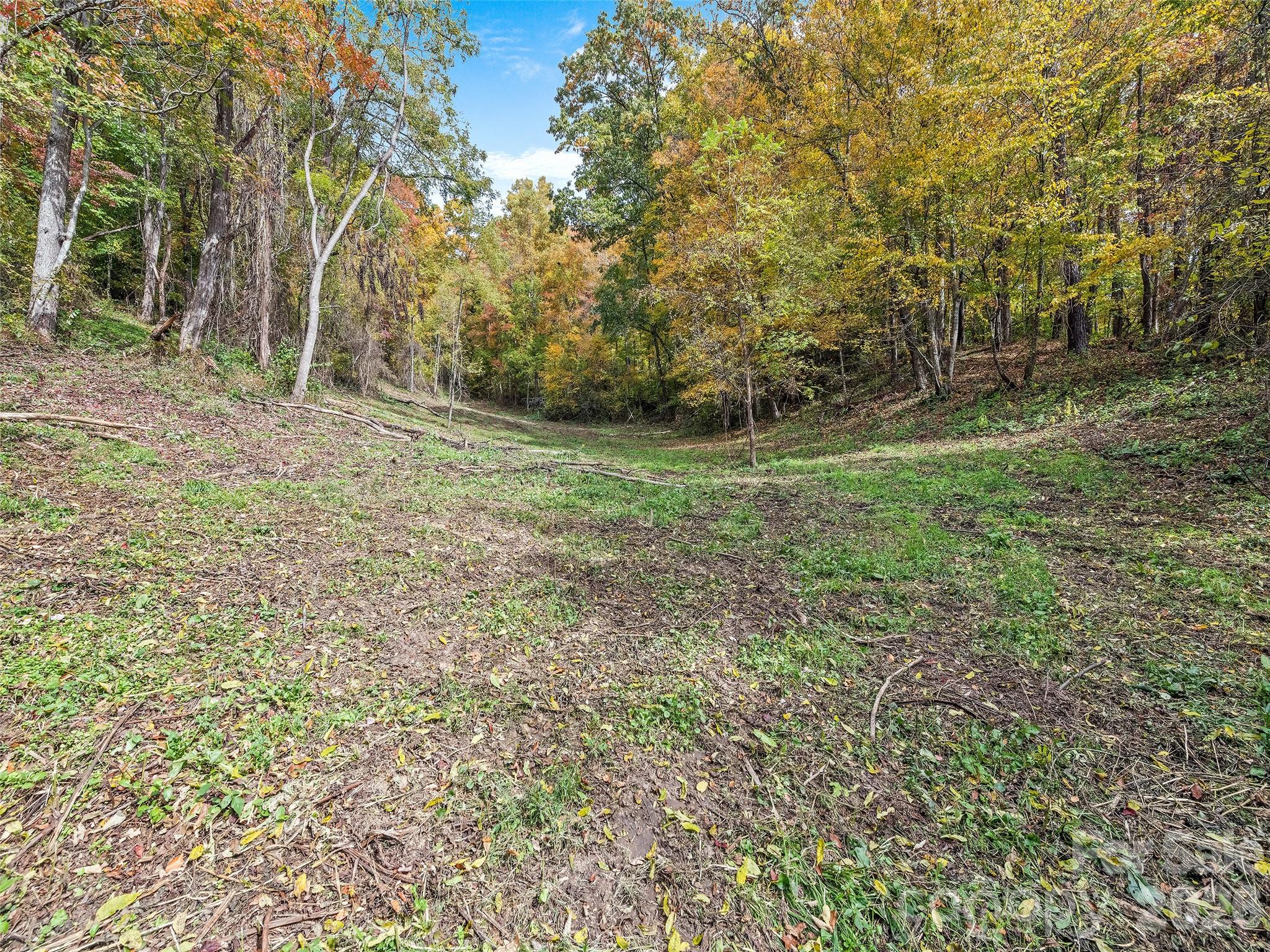 0 Beaverdam Road Canton, NC 28716 - Photo 16 of 16