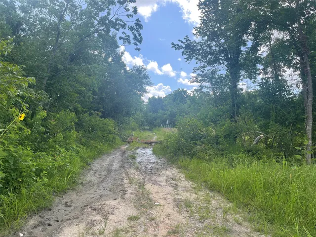 a view of a yard with a tree