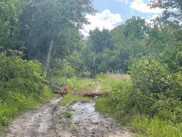 a view of a lake with a yard