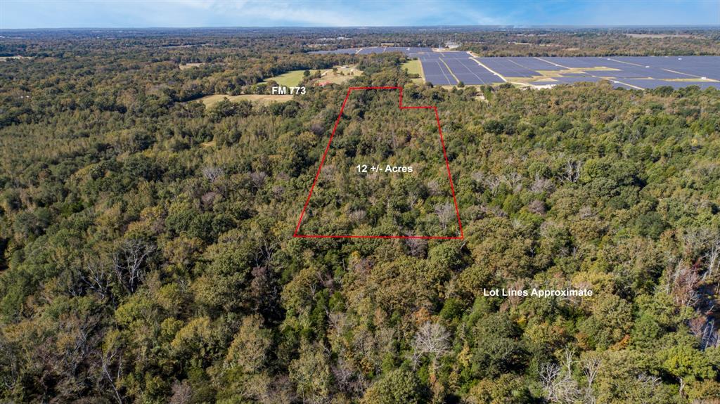 10081 Fm 773 Ben Wheeler, TX 75754 - Photo 12 of 12 an aerial view of residential houses with outdoor space and trees