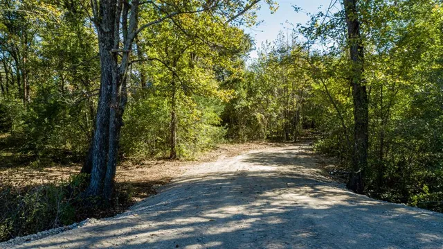 a view of a yard with plants and trees