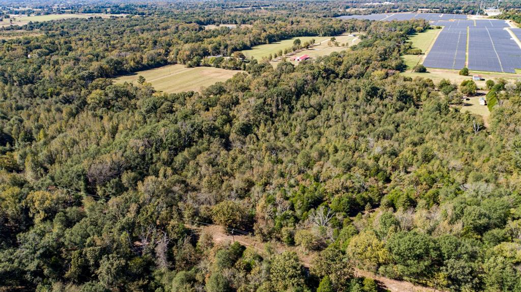 10081 Fm 773 Ben Wheeler, TX 75754 - Photo 9 of 12 a view of a yard with an outdoor space