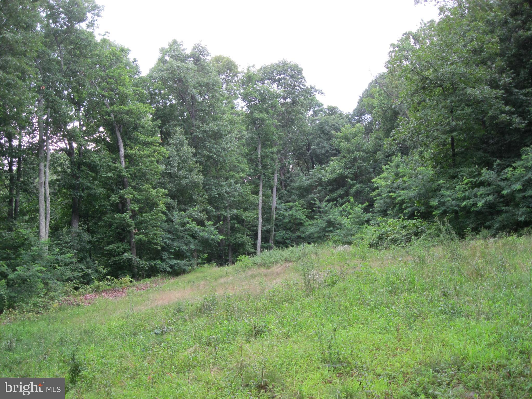0 Granny Smith Road Linden, VA 22642 - Photo 1 of 27 Lot 23 Apple Mountain Lake Community
