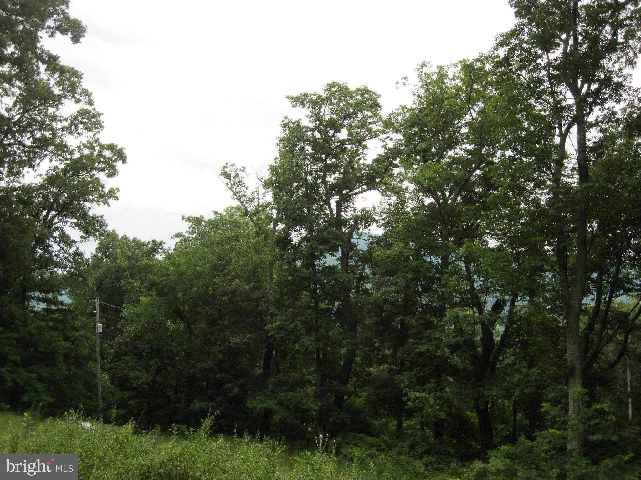 0 Granny Smith Road Linden, VA 22642 - Photo 13 of 27 Beautiful scenic mountain view from center of lot