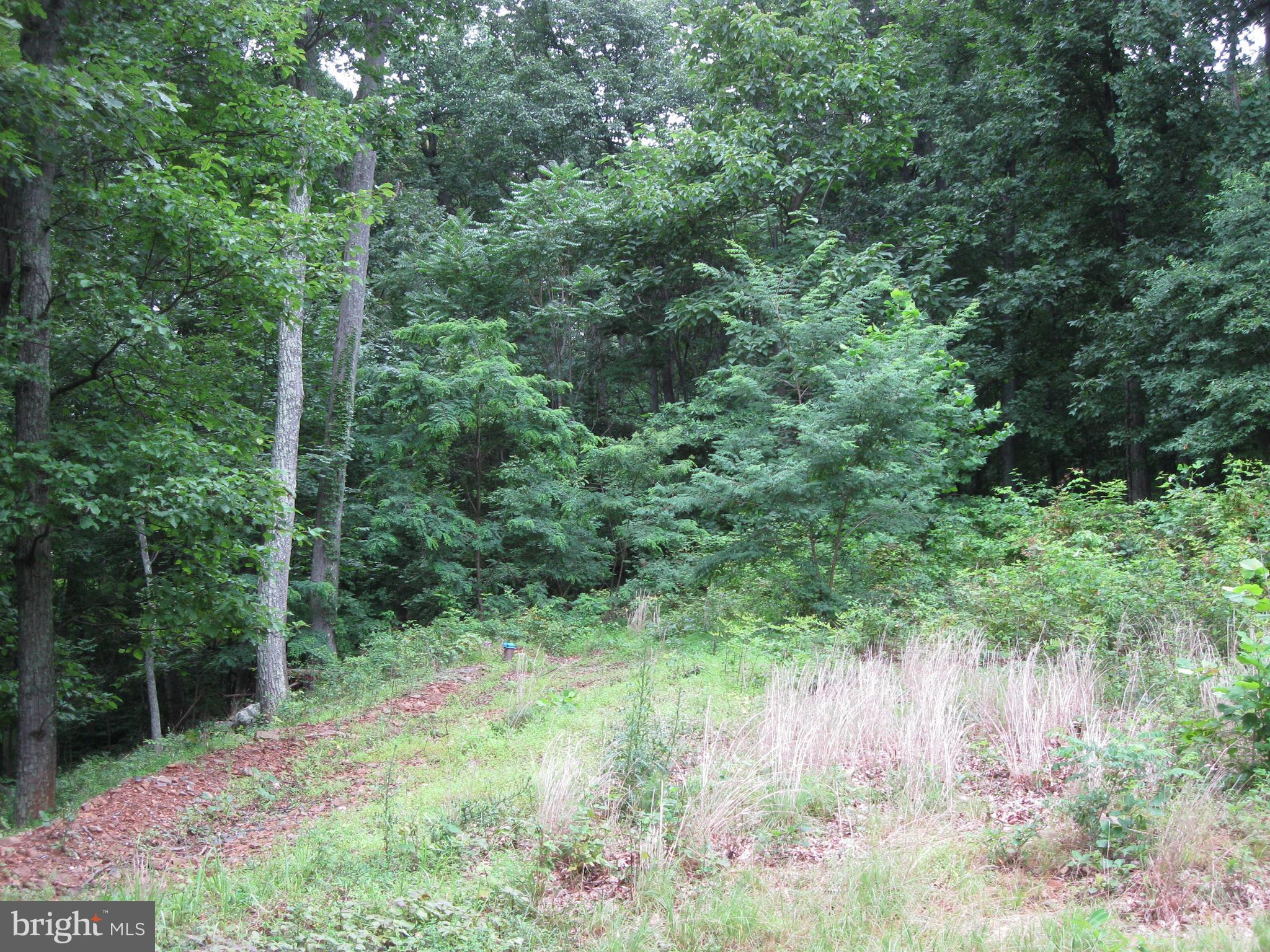 0 Granny Smith Road Linden, VA 22642 - Photo 14 of 27 View toward back of lot