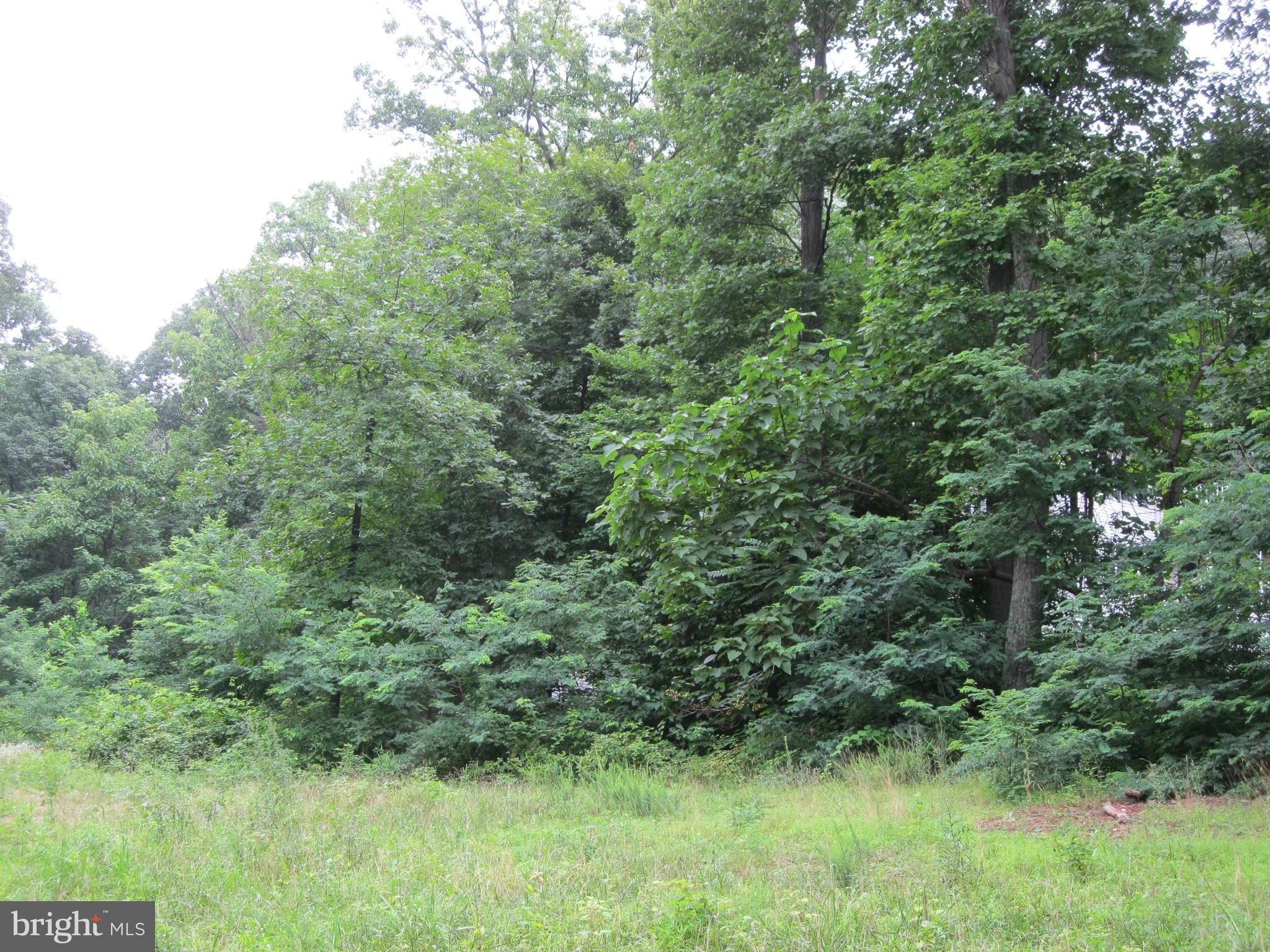 0 Granny Smith Road Linden, VA 22642 - Photo 17 of 27 Property line along right side of lot