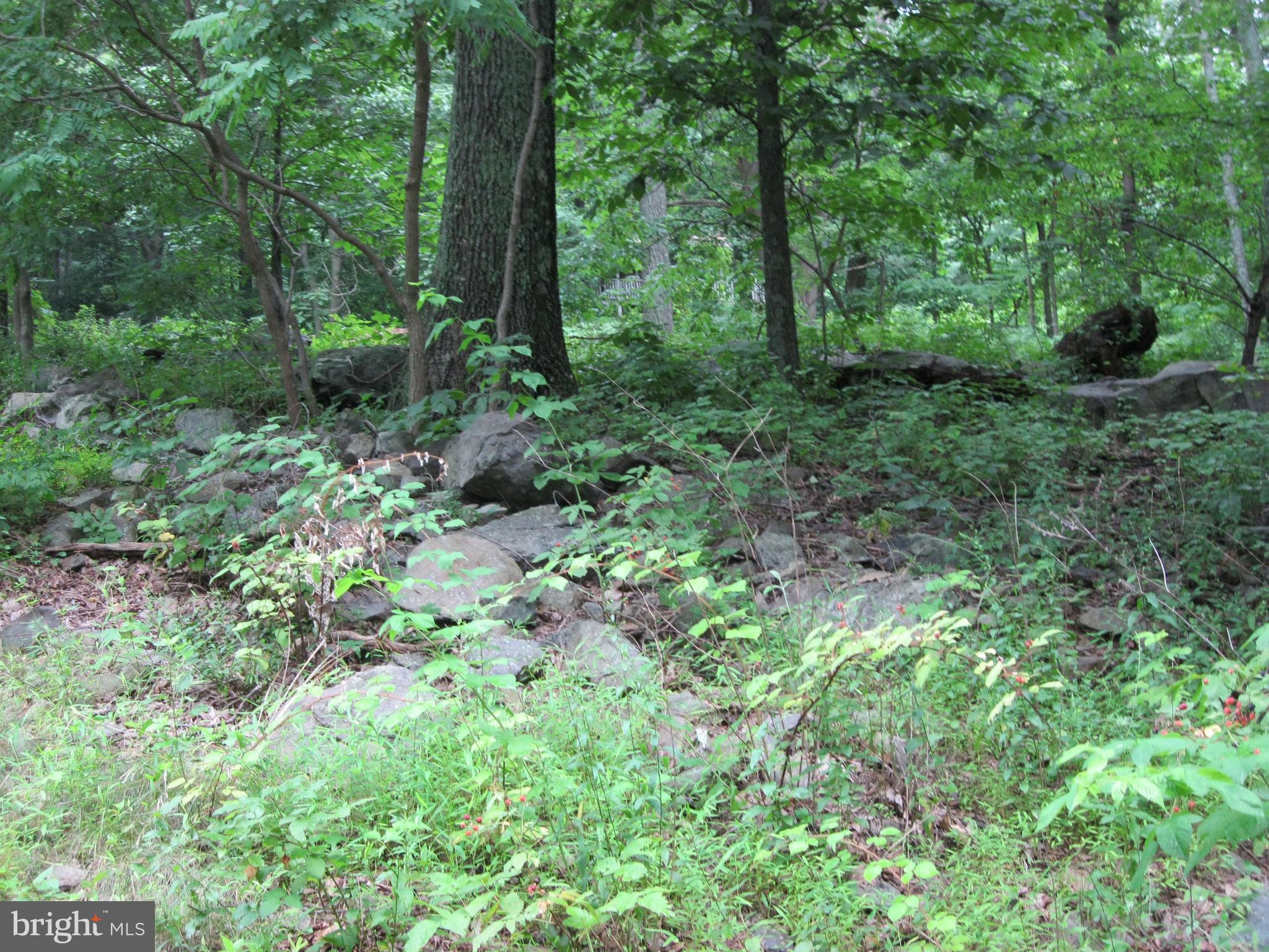 0 Granny Smith Road Linden, VA 22642 - Photo 19 of 27 Secluded setting just minutes to 66