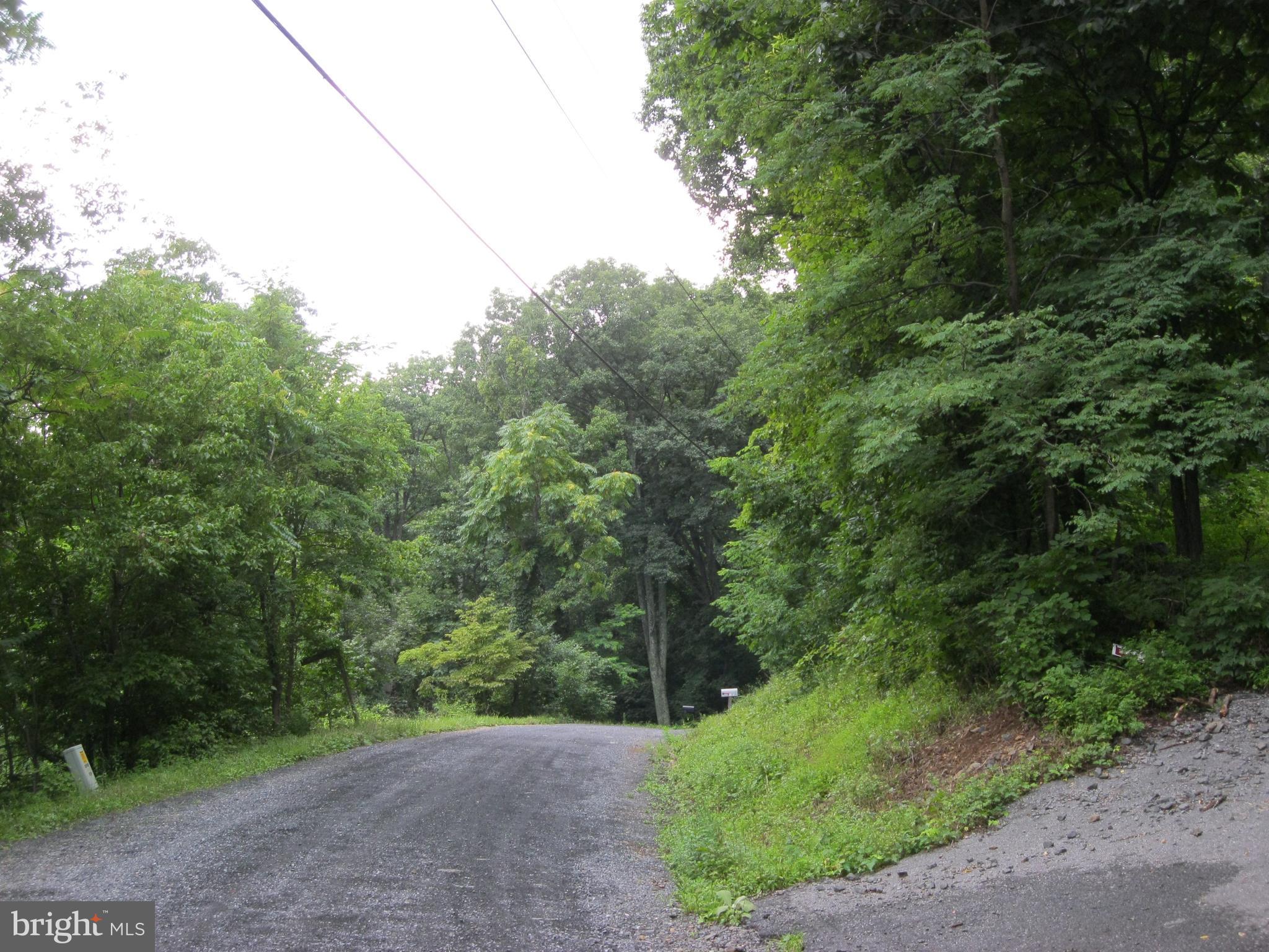0 Granny Smith Road Linden, VA 22642 - Photo 20 of 27 Driveway off of Granny Smith Road