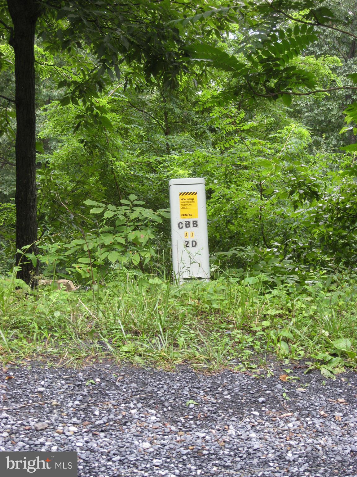 0 Granny Smith Road Linden, VA 22642 - Photo 21 of 27 Electricity available near property