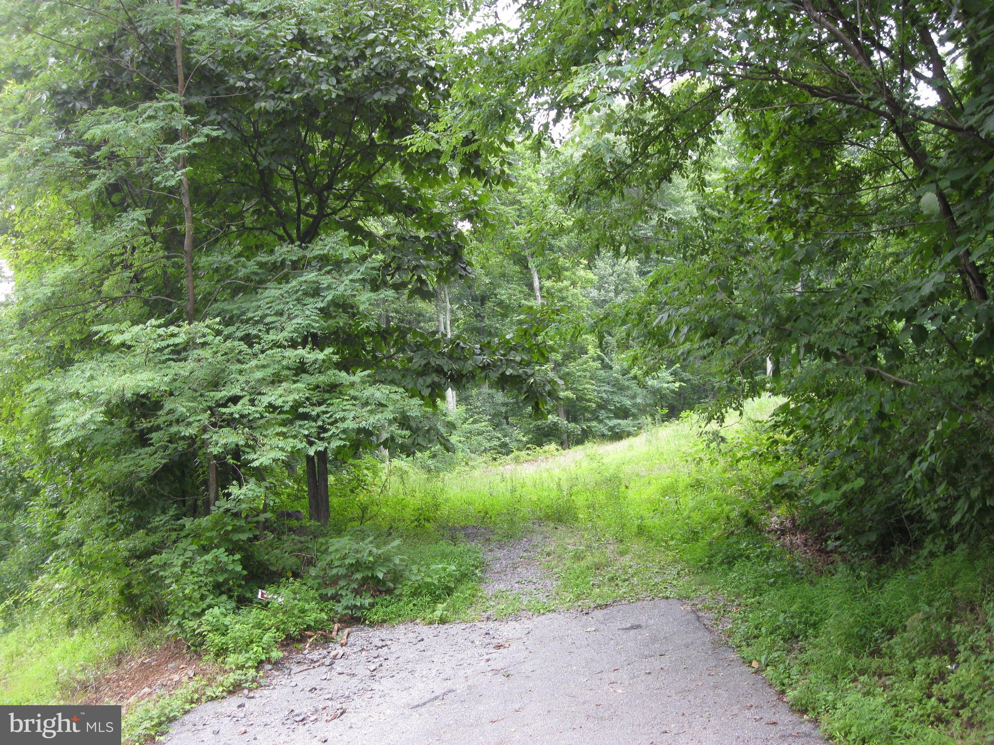 0 Granny Smith Road Linden, VA 22642 - Photo 4 of 27 View from driveway looking toward building site