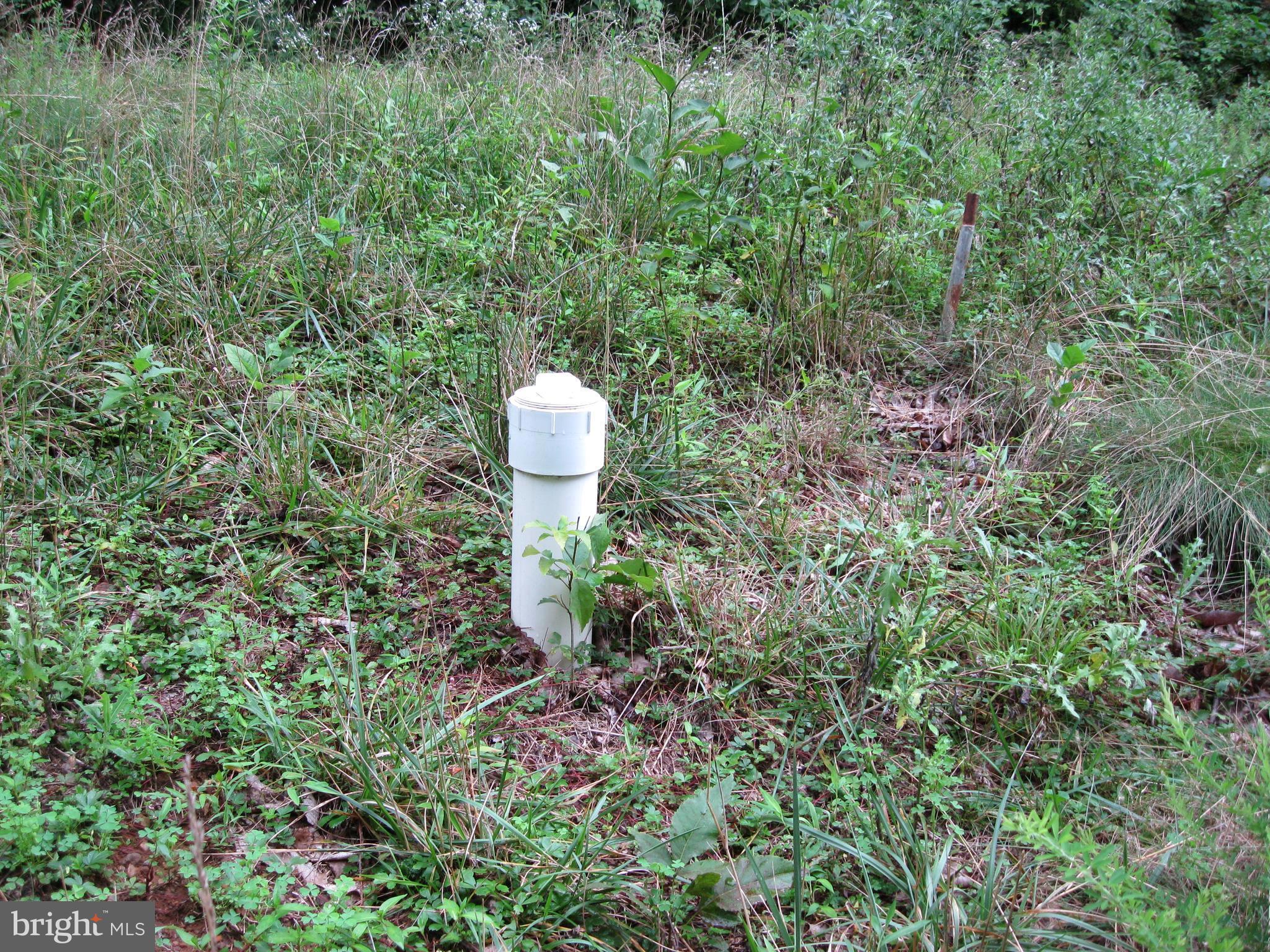 0 Granny Smith Road Linden, VA 22642 - Photo 6 of 27 SEPTIC SYSTEM INSTALLED on lot