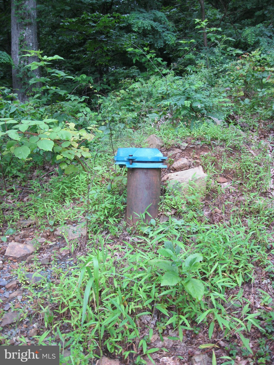 0 Granny Smith Road Linden, VA 22642 - Photo 7 of 27 WELL INSTALLED at rear of lot