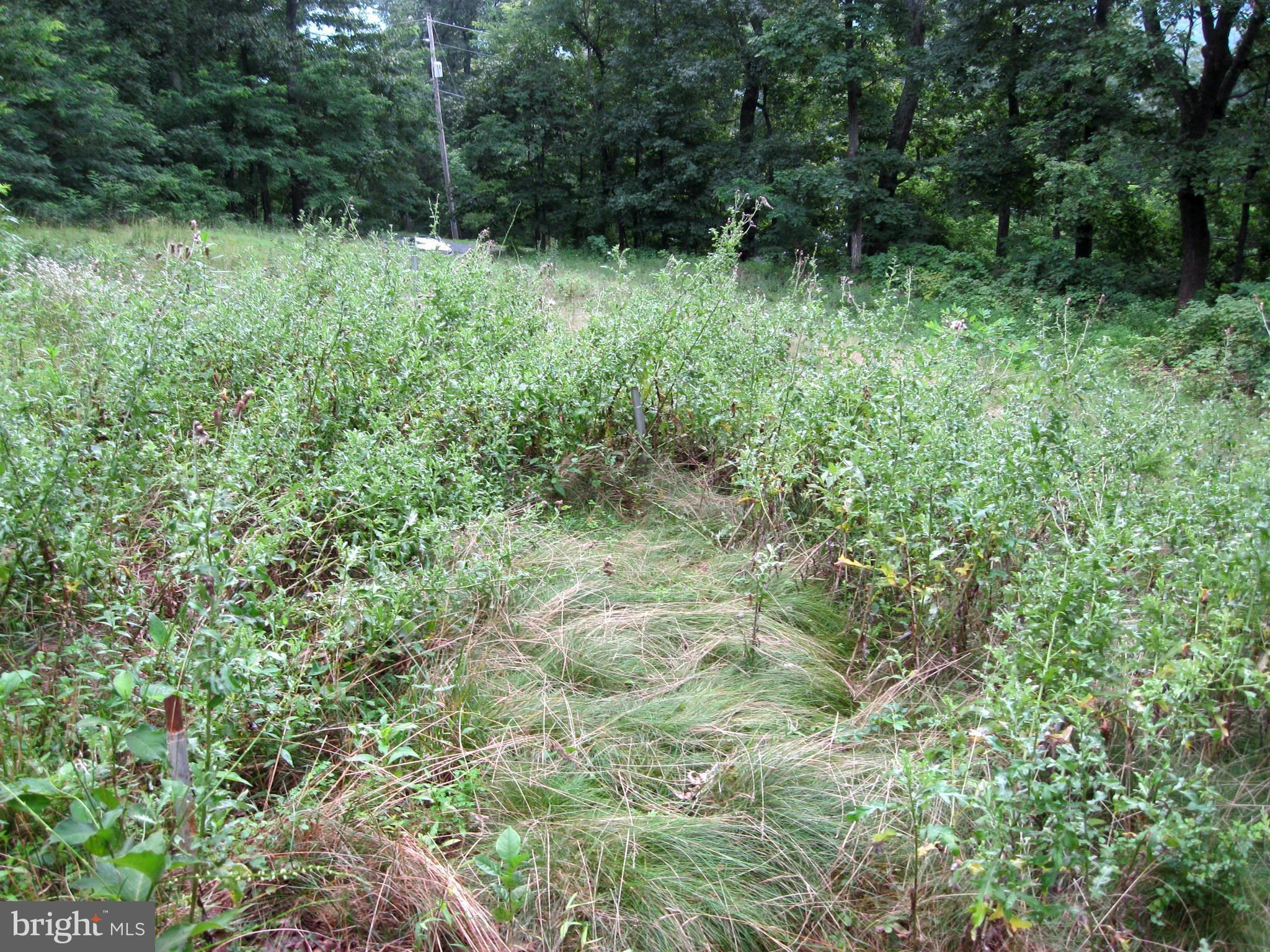 0 Granny Smith Road Linden, VA 22642 - Photo 9 of 27 View from cleared area toward front of lot