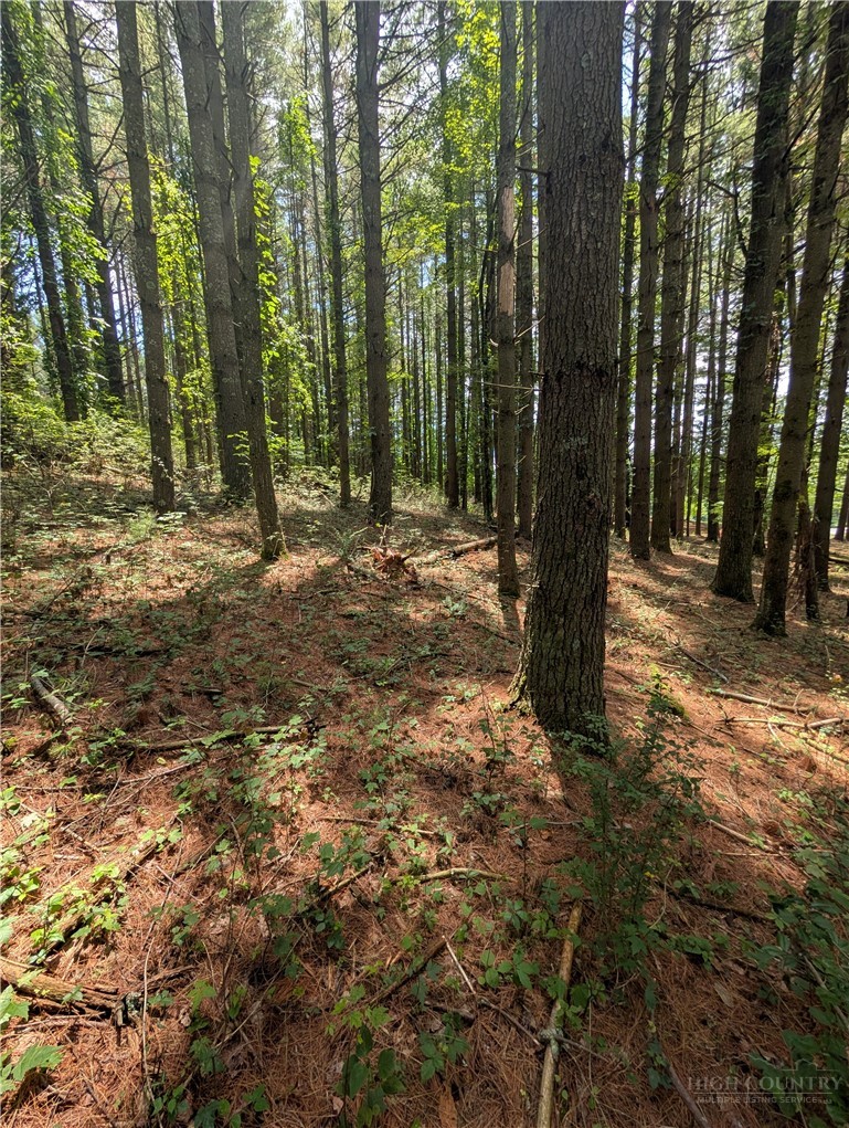 Doell Lane, Unit 20 Sparta, NC 28675 - Photo 11 of 18