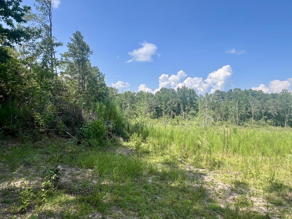 0 Co Road Laurel, MS 39443 - Photo 5 of 23 Gallery Image 5