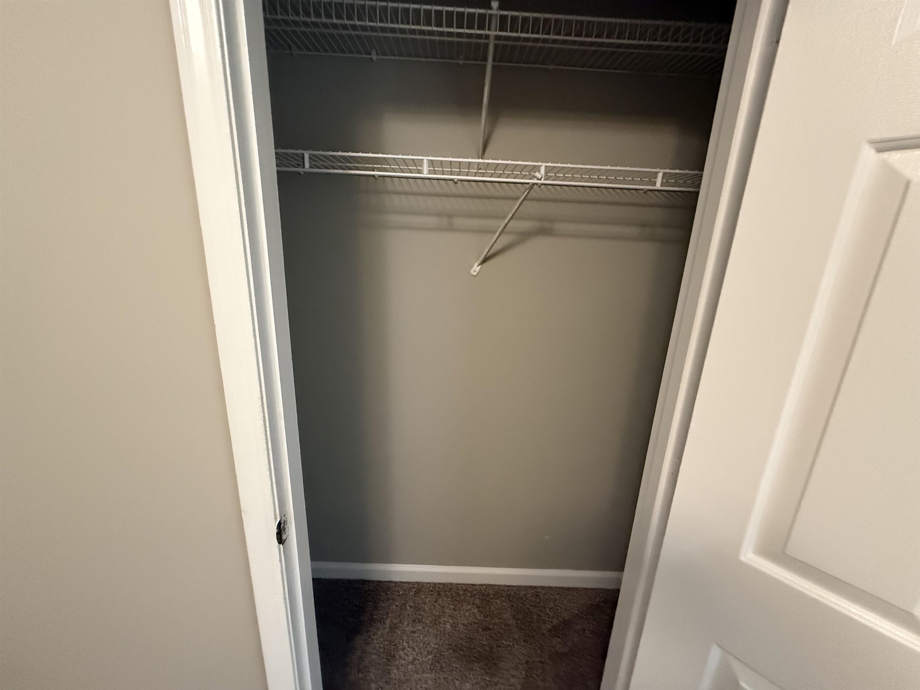 6420 Saginaw Road Memphis, TN 38134 - Photo 22 of 38 Interior closet space featuring wire shelving and a hanging rod over carpet flooring