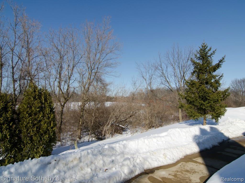 3462 Tremonte Circle Rochester, MI 48306 - Photo 21 of 21 View From Front Door 3.jpg