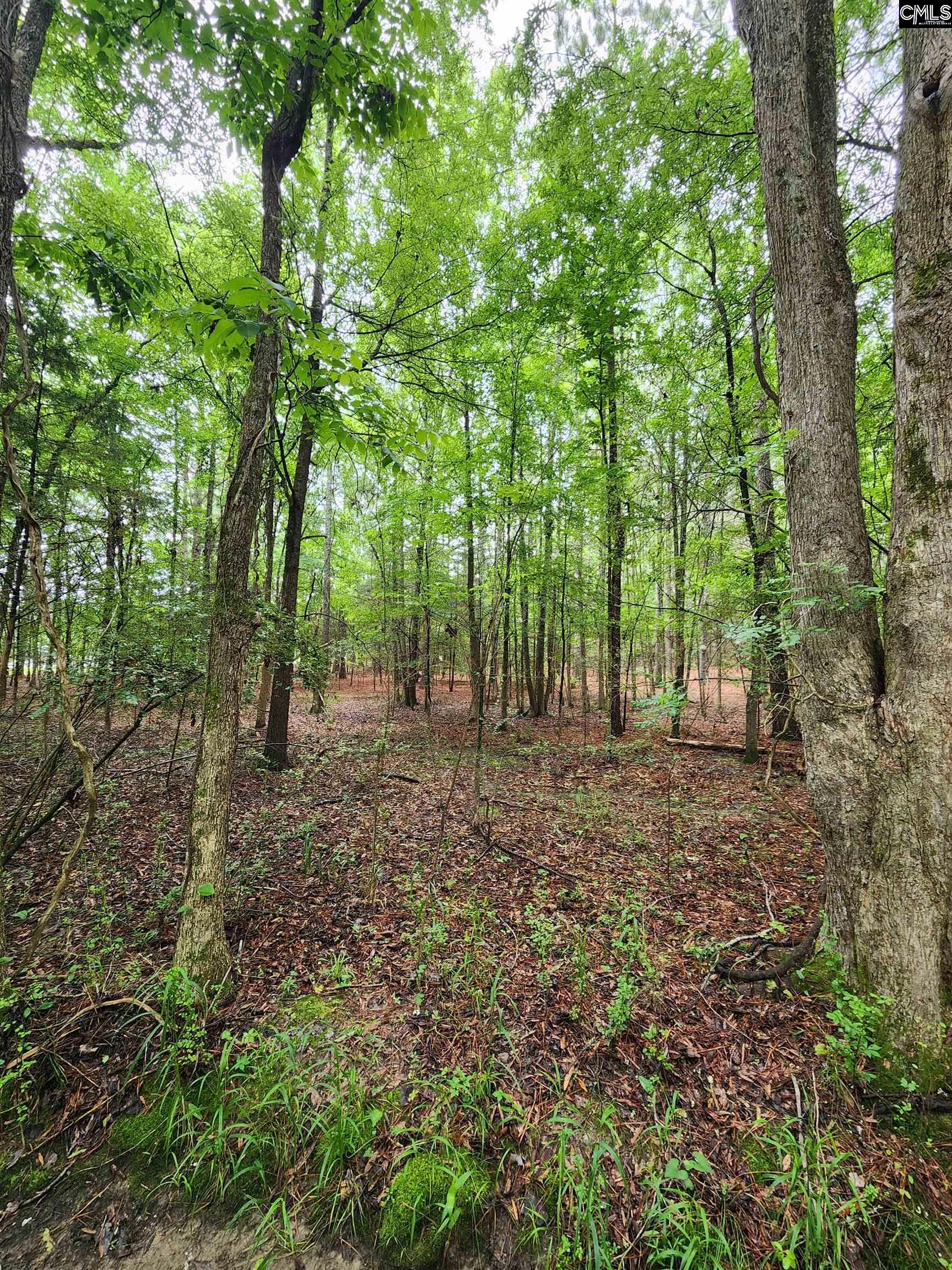 0 Elm Street Prosperity, SC 29127 - Photo 20 of 26