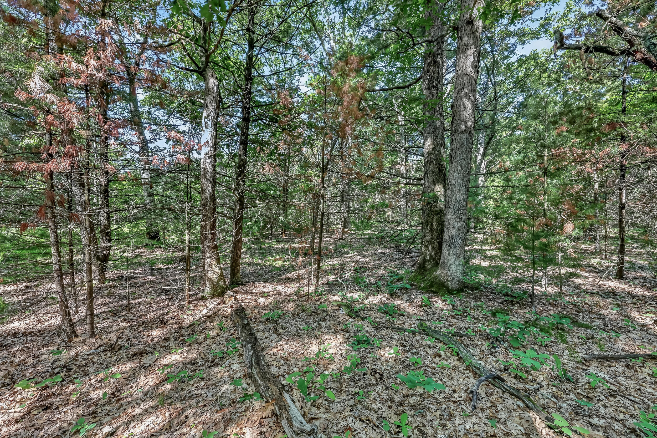 Vl West Michigan Road, Unit A Twin Lake, MI 49457 - Photo 6 of 15 527 w michigan parcel a-4