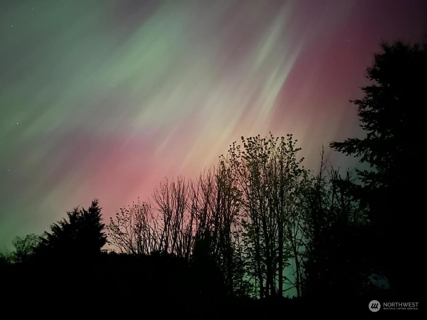 207 Allison Road Ethel, WA 98542 - Photo 11 of 13 a view of a yard