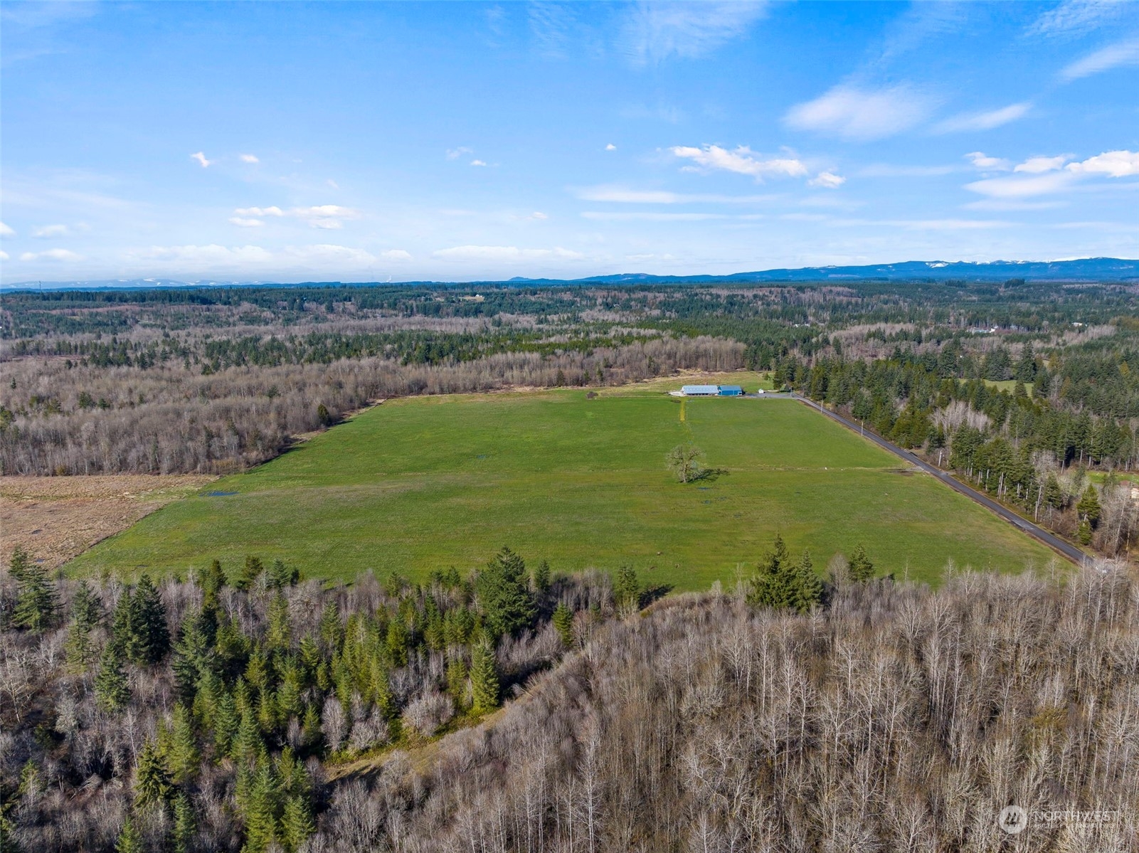 207 Allison Road Ethel, WA 98542 - Photo 3 of 13 a view of a golf course with a lake