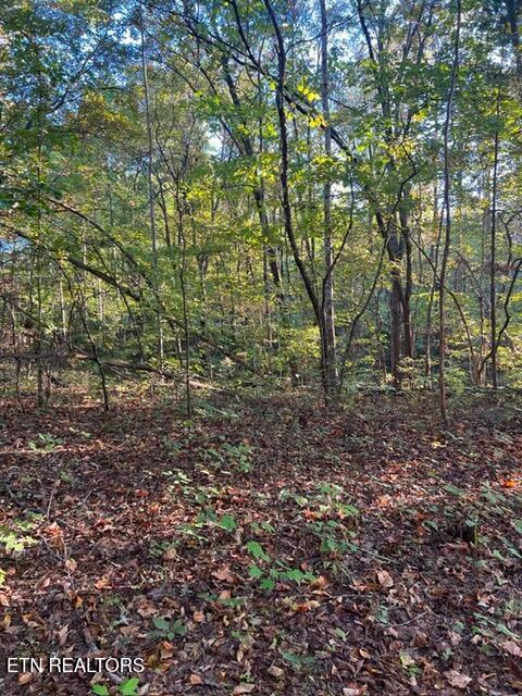 196 Woodstock Drive, Unit LOT #176 Rutledge, TN 37861 - Photo 3 of 5 a87f407a21d6f6d890c0949fefdad877 (1)