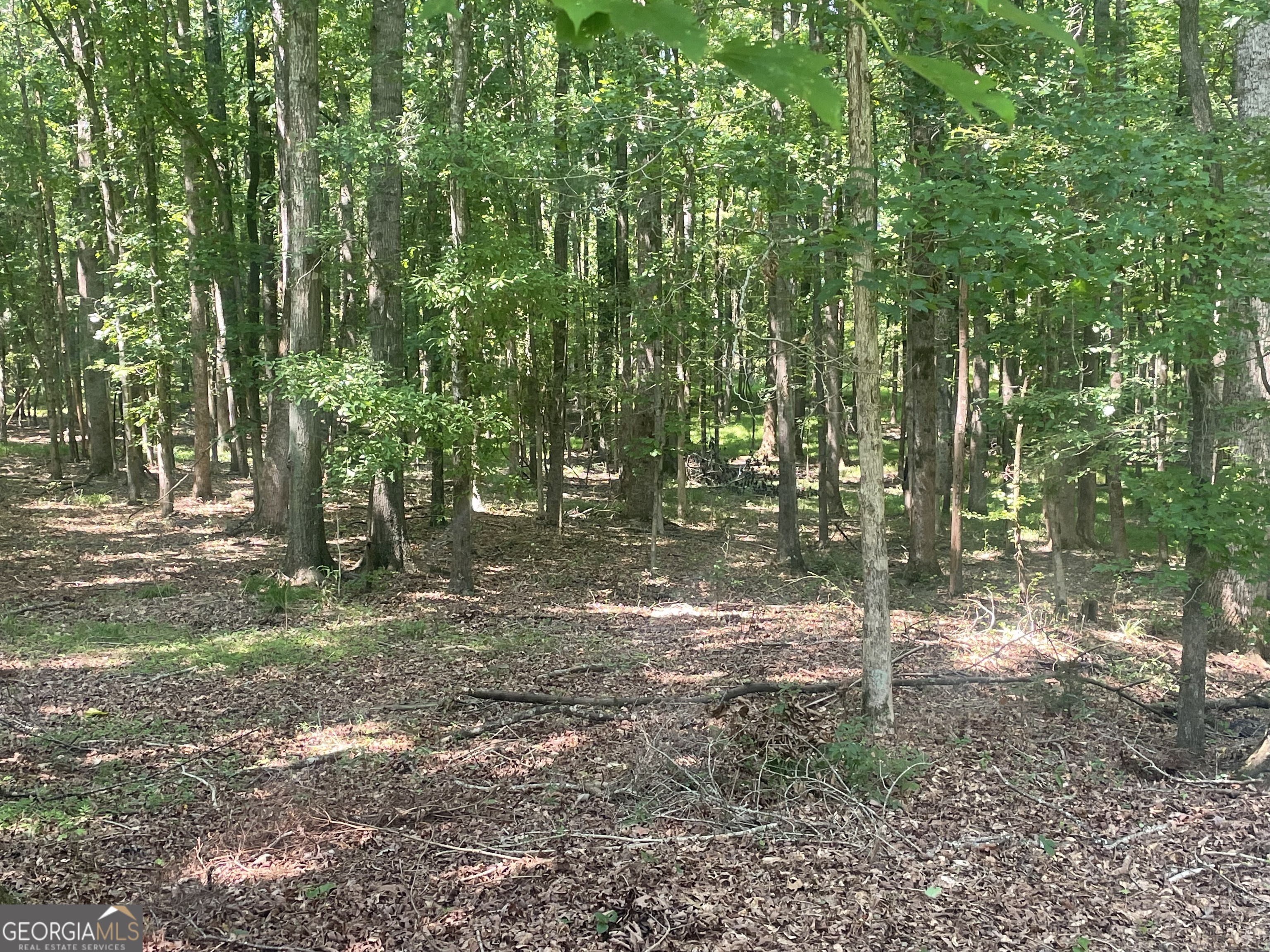 1371 Crawford Road Madison, GA 30650 - Photo 21 of 21 Gallery Image 21