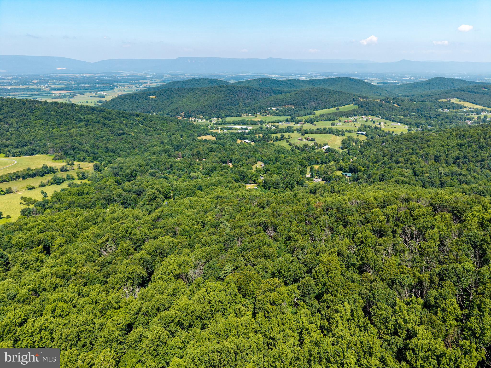 0 Helms Road Stanley, VA 22851 - Photo 44 of 50