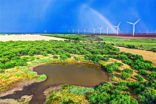 a view of a yard with plants and a bench under an umbrella